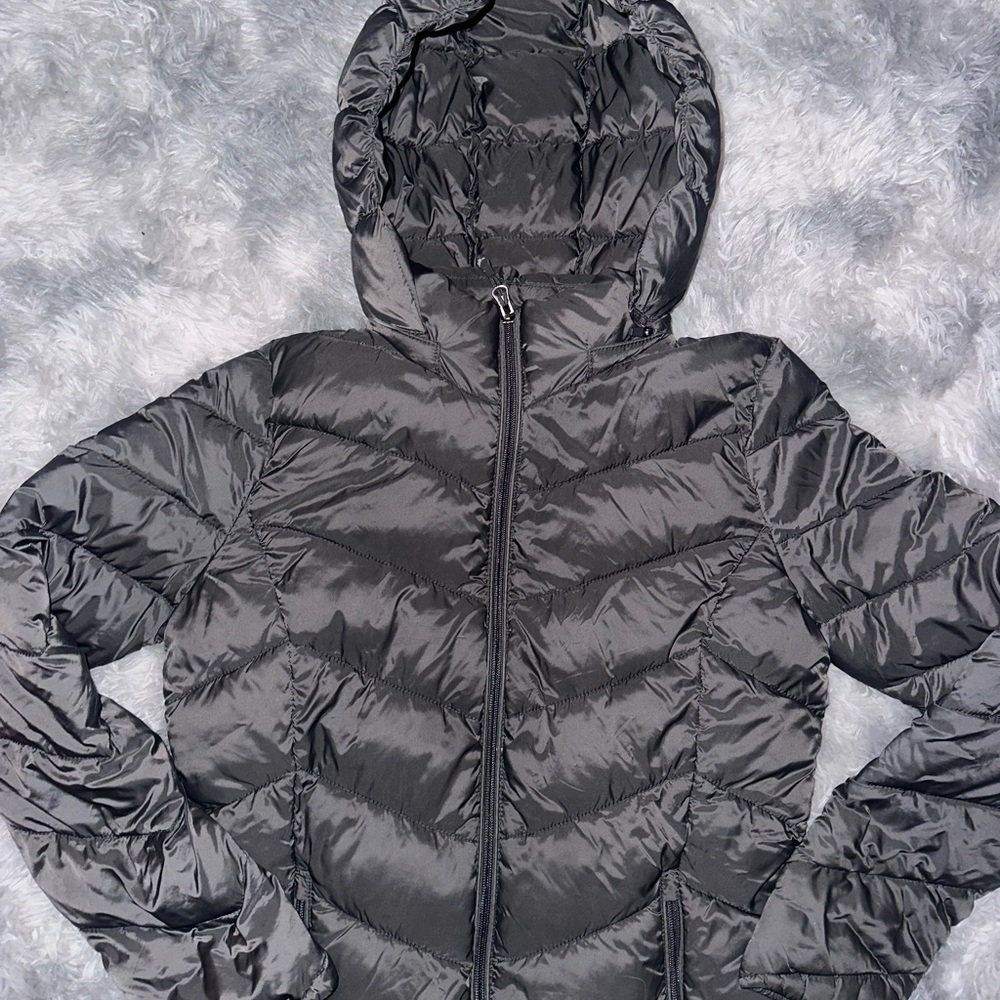 Charter Club Puffer Jacket with Hood - Gray EUC